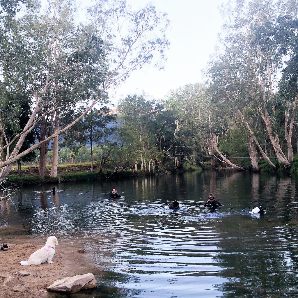 Rainforest-scuba-diving-freshwater-tour-dive-platypus-Finch Hatton-Mackay-Padi-education-Queensland-fish-turtle